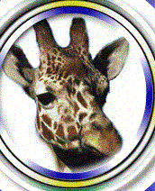 (Tanzania Domain names)